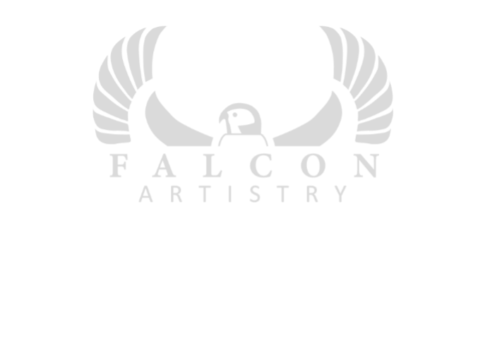 Falcon Artistry Academy